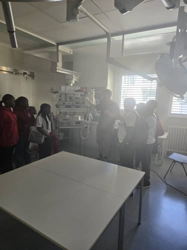 WhatsApp Image 2025-09-20 at 17.47.04_020028ad